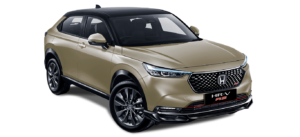 Sand-Khaki-Pearl-Two-Tone-Type-E-SE-RS.png